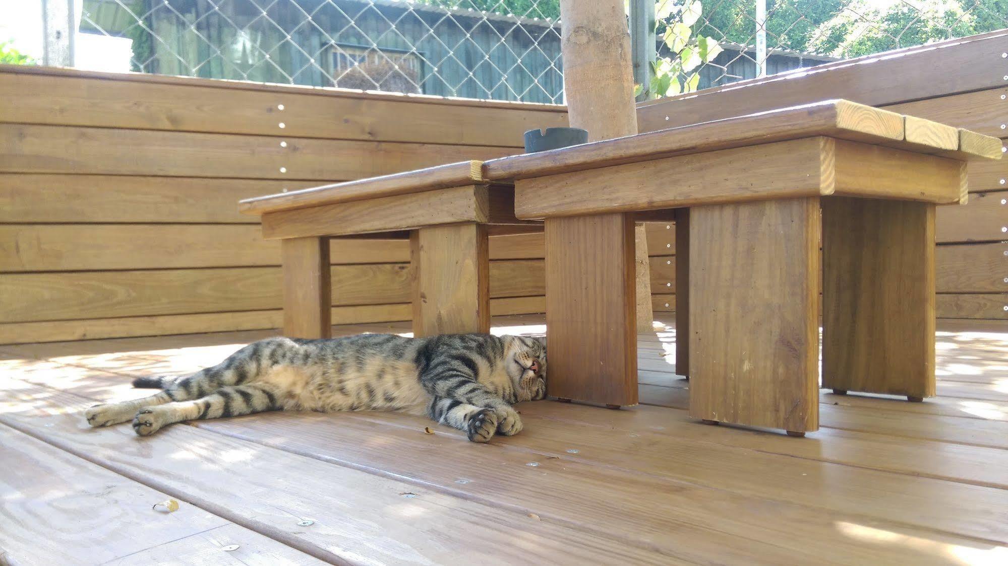 都蘭朋友家 Dulan Friends Hostel Donghe Extérieur photo